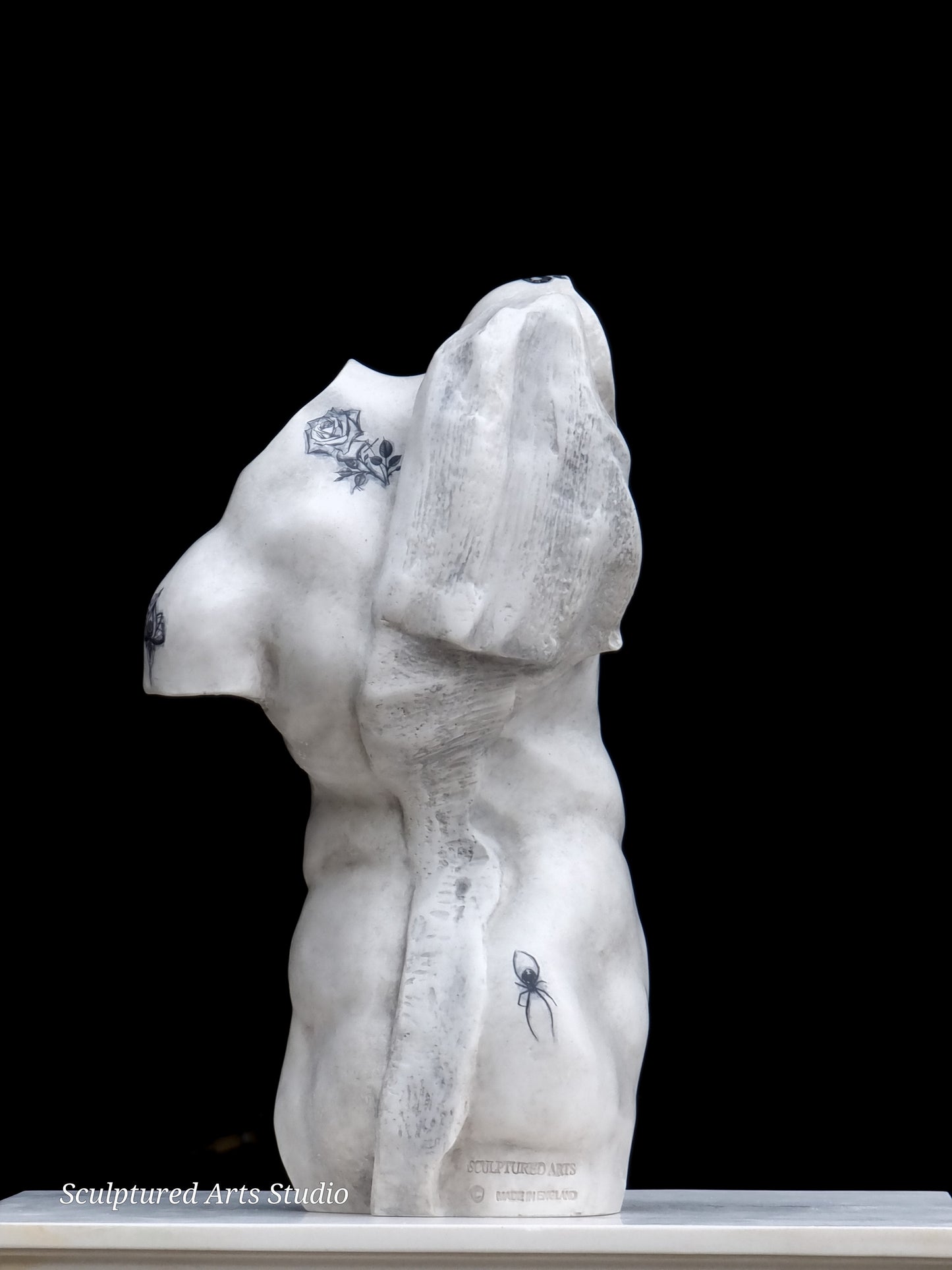 Tattooed Adonis: Sculpted Rebellion