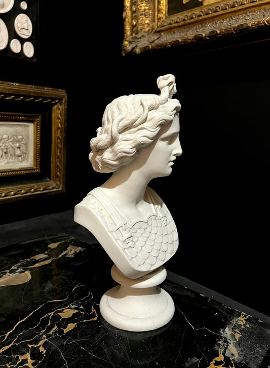Medusa bust