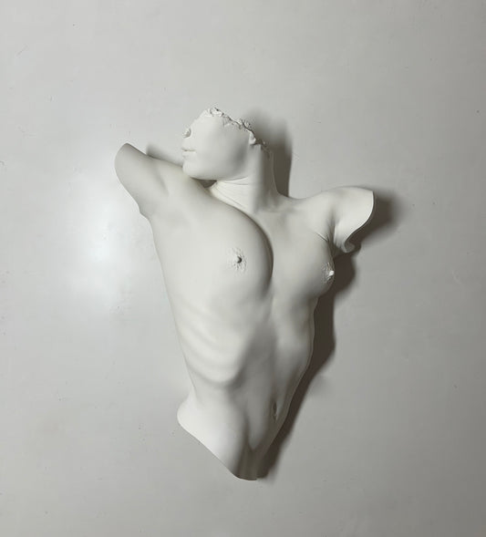 Body form of Diana
