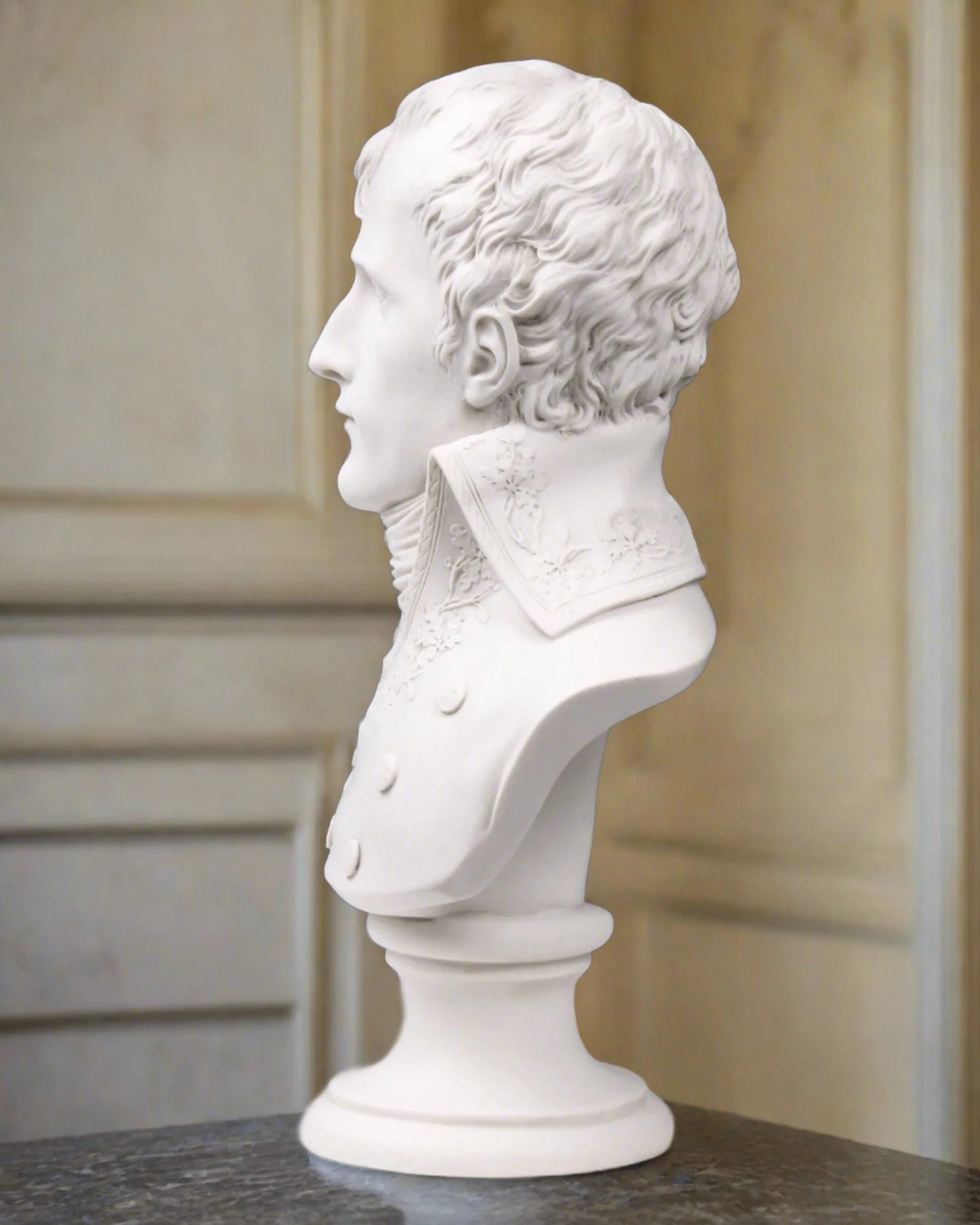 Napoleon as first consul