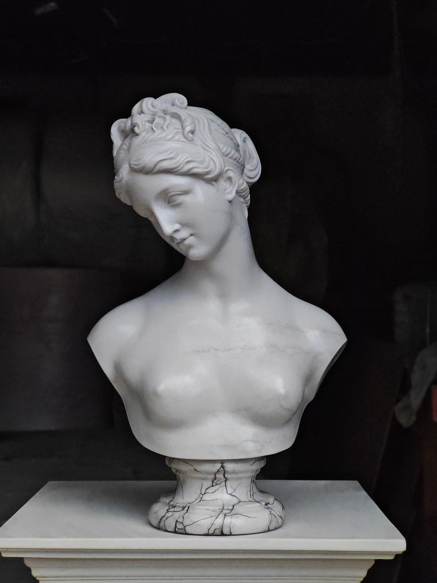 Venus Bust - Finely Finished