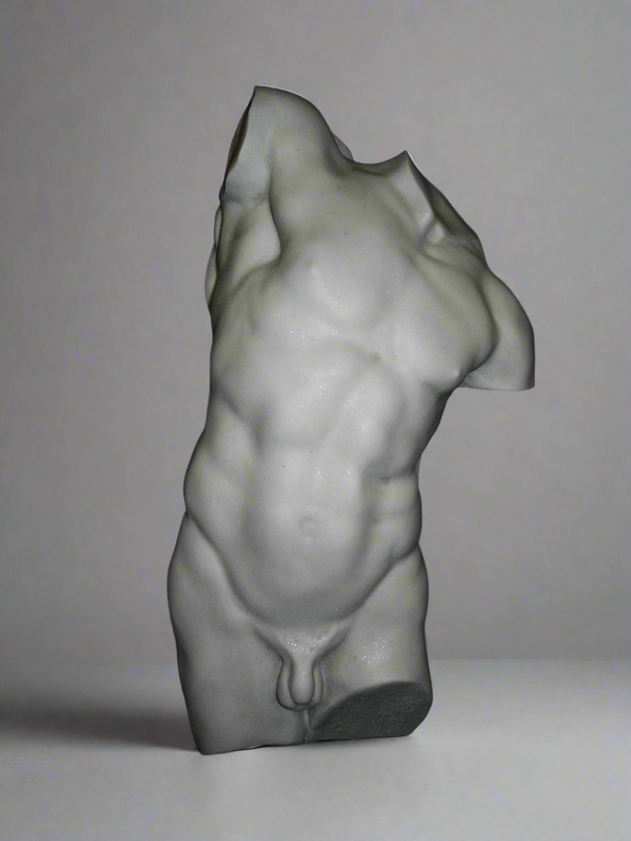 Study of a male torso