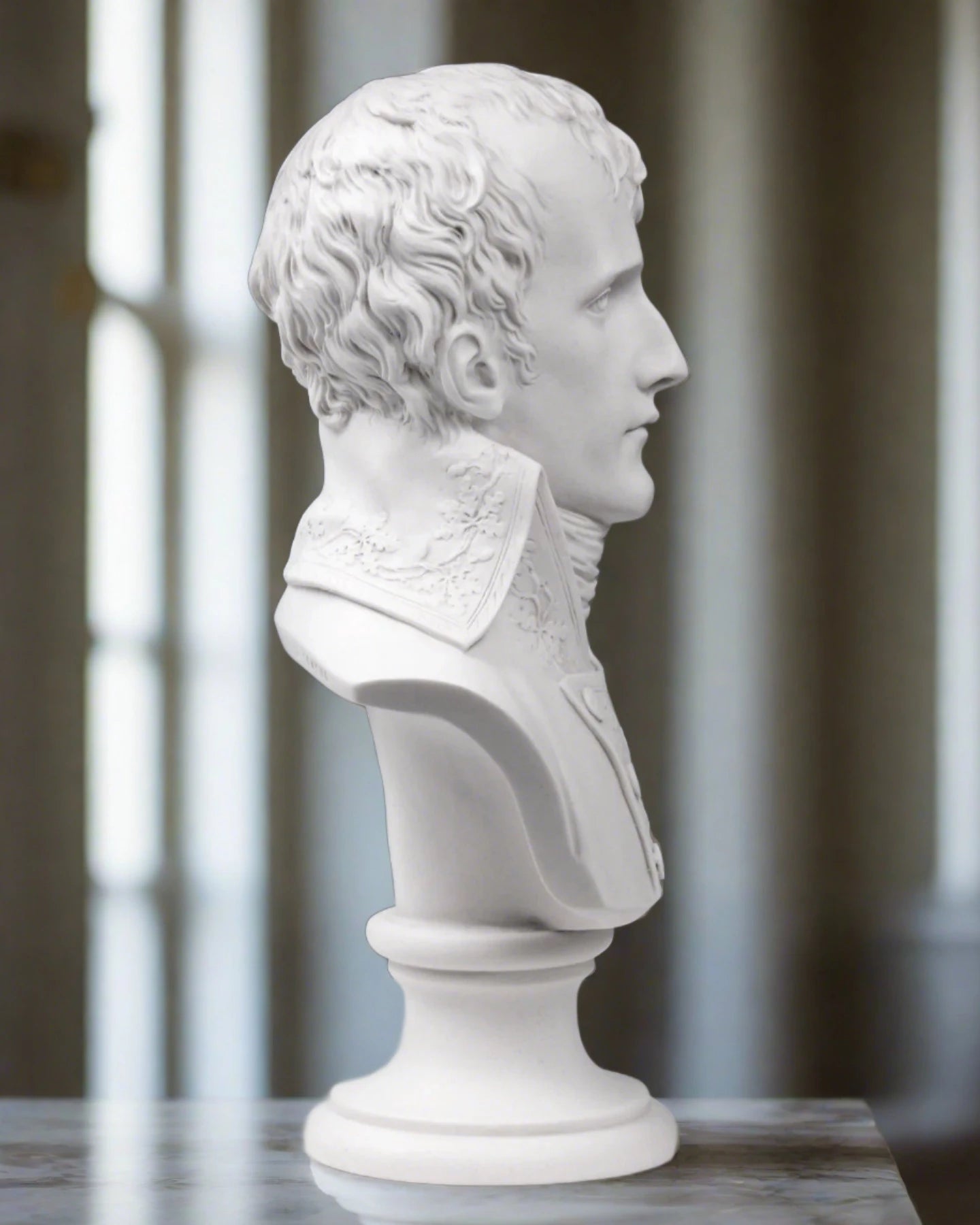 Napoleon as first consul