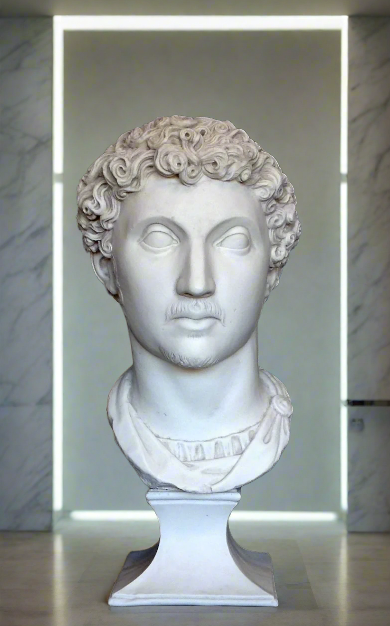 A white marble bust of Marcus Aurelius, the Roman Emperor, showing a profile view with a decorative border.