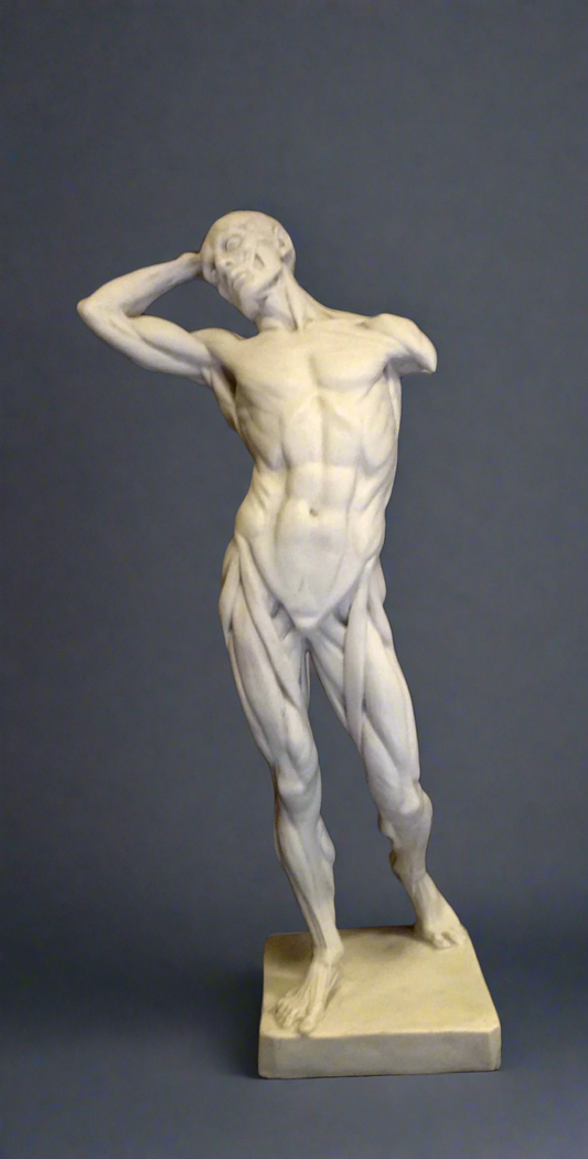 Statue of a muscular figure on a gray background