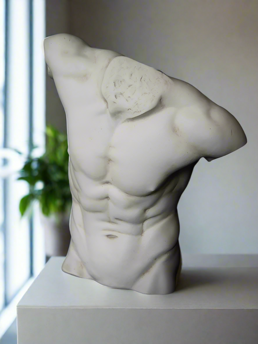Male Torso (Large)