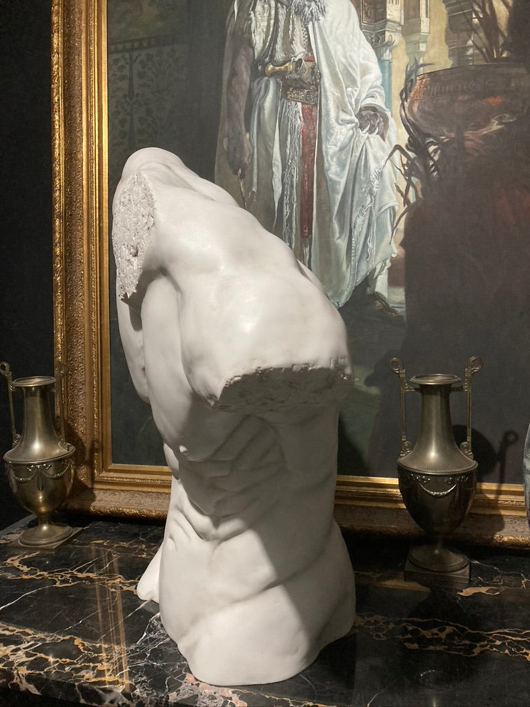 Life Size Male Torso