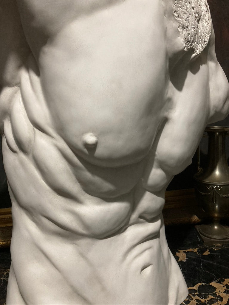Life Size Male Torso