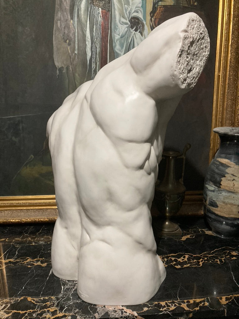 Life Size Male Torso