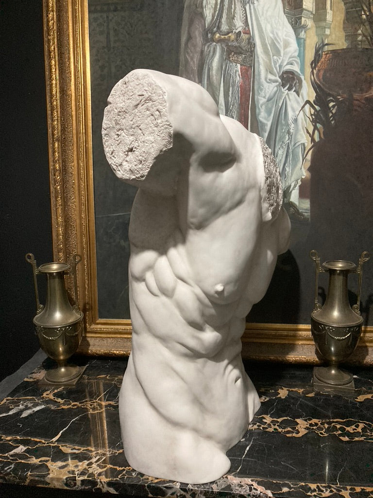 Life Size Male Torso