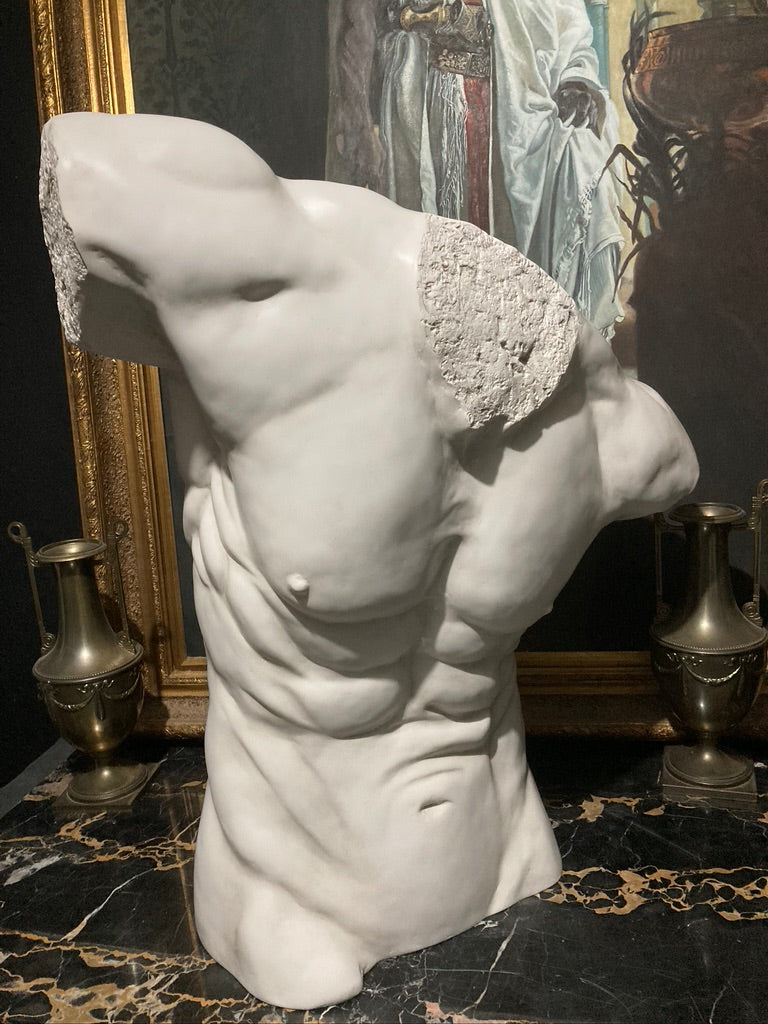 Life Size Male Torso
