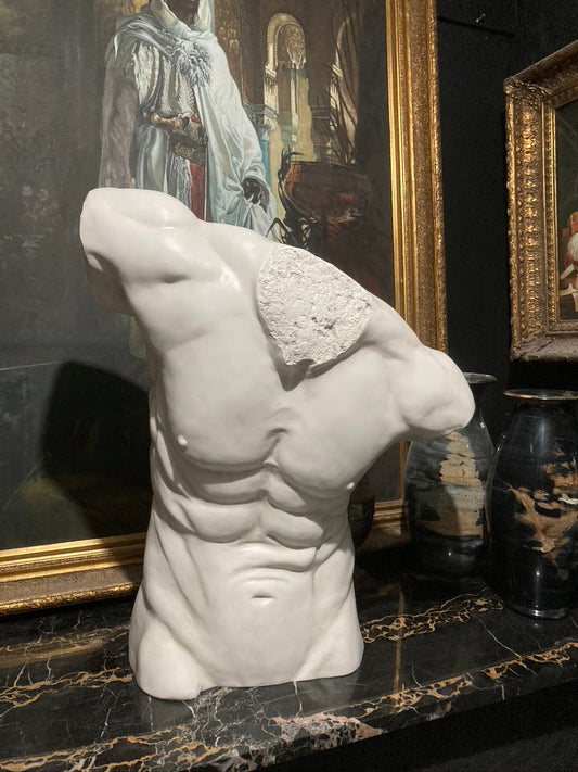 Life Size Male Torso