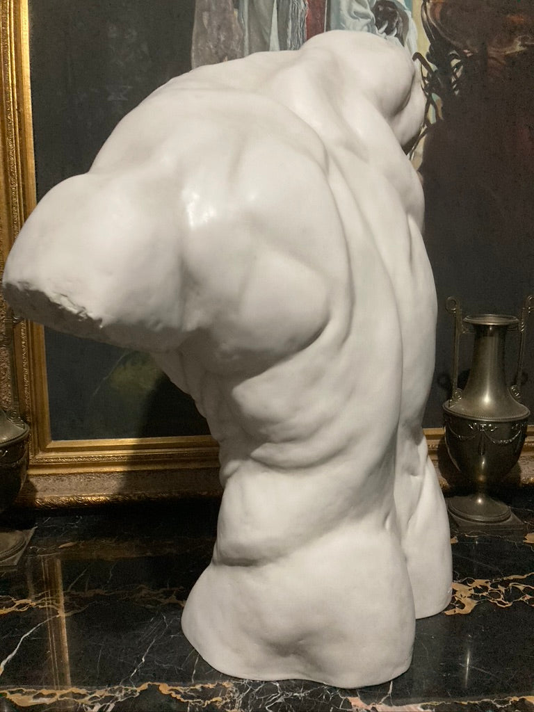 Life Size Male Torso
