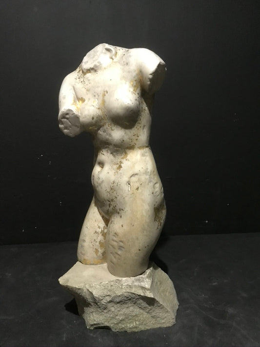 Aphrodite Female Torso