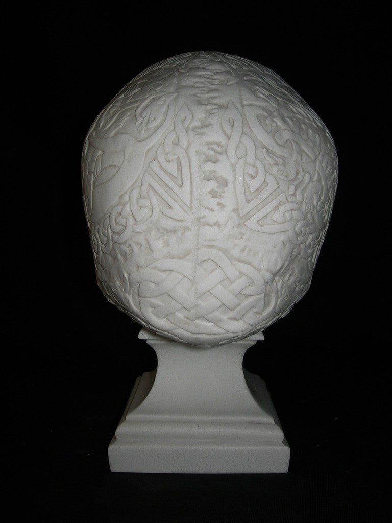 Celtic Knotwork Skull