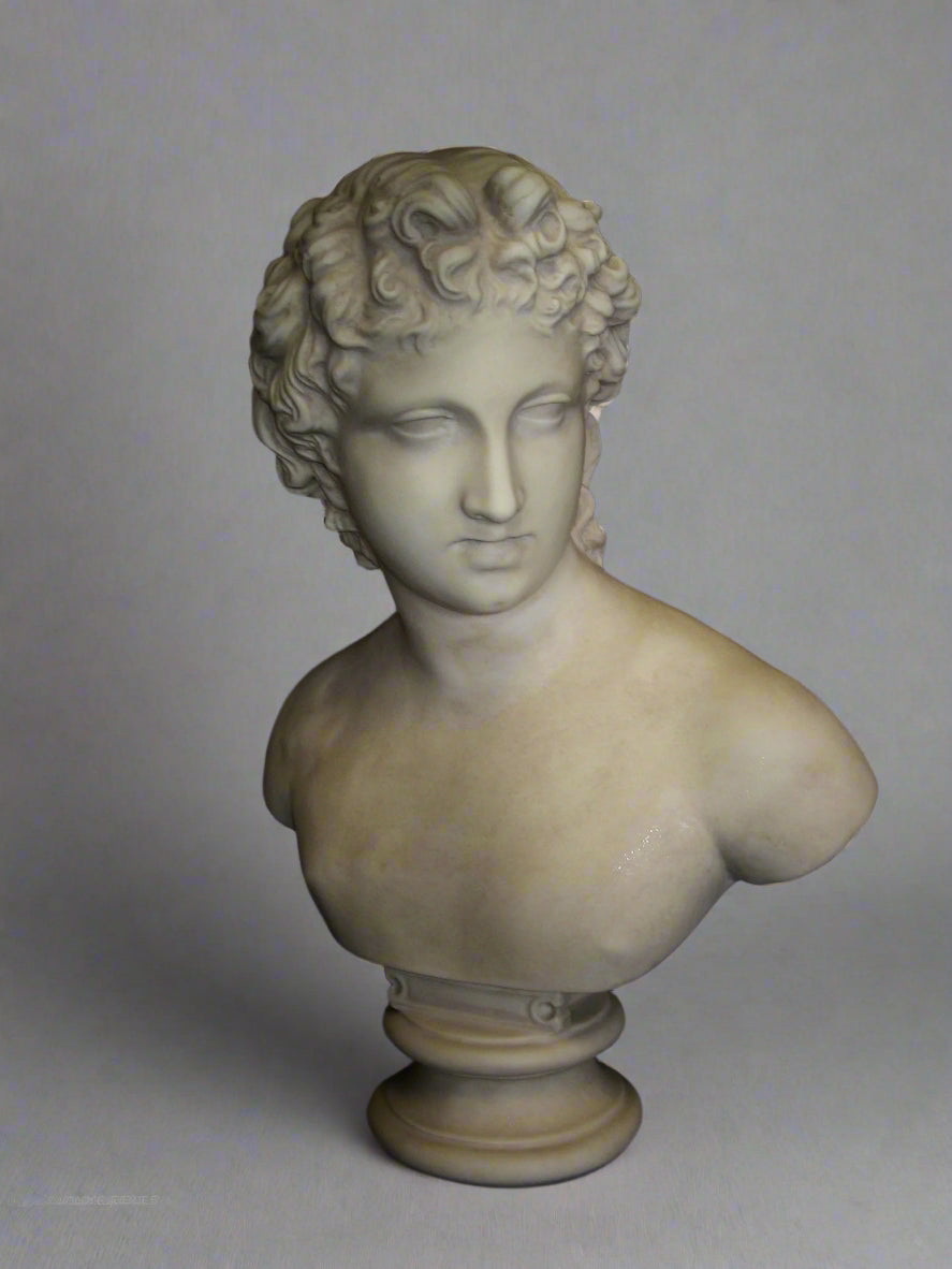 Bust sculpture of a classical figure on a plain background