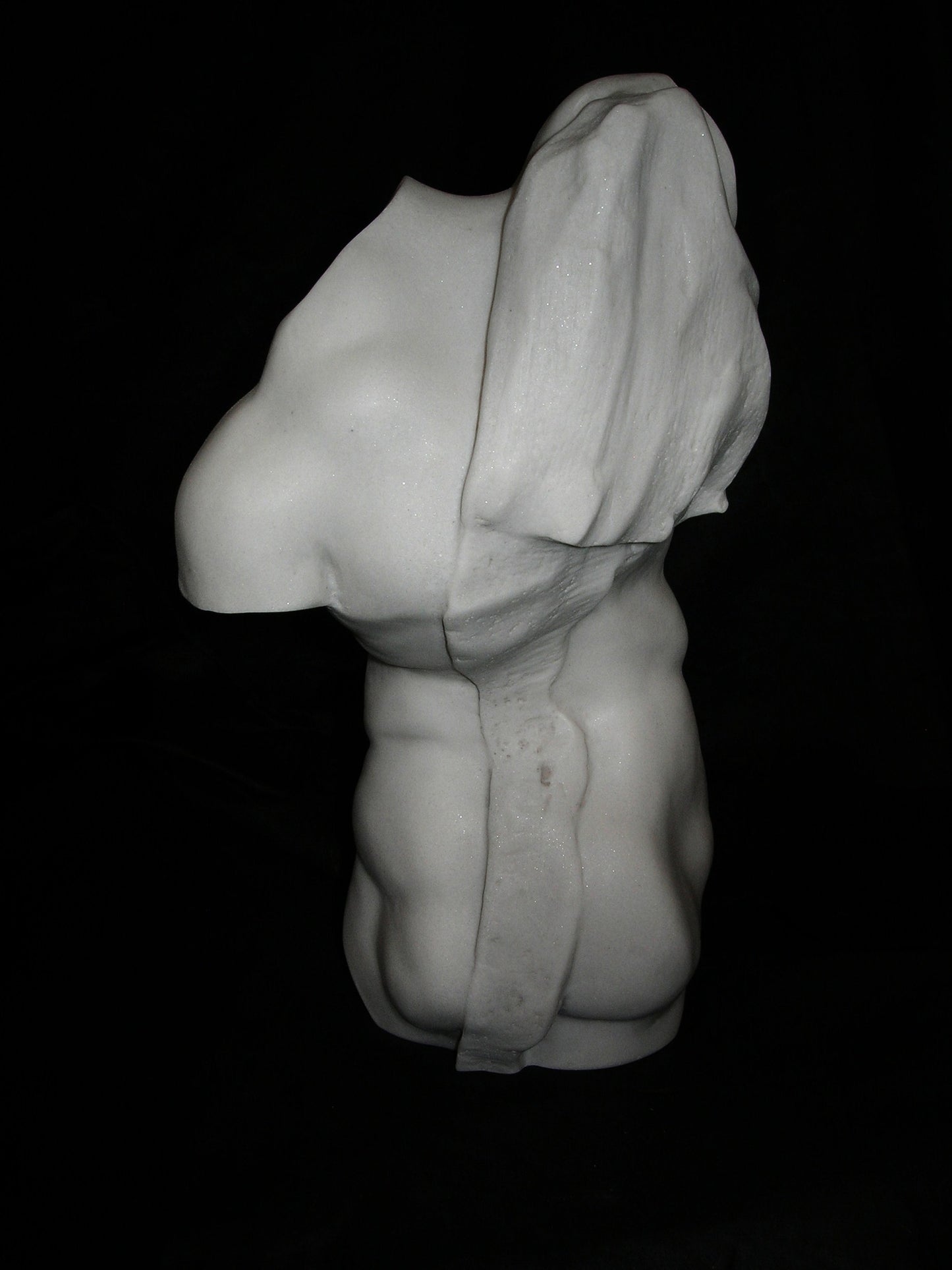 Study of a male torso