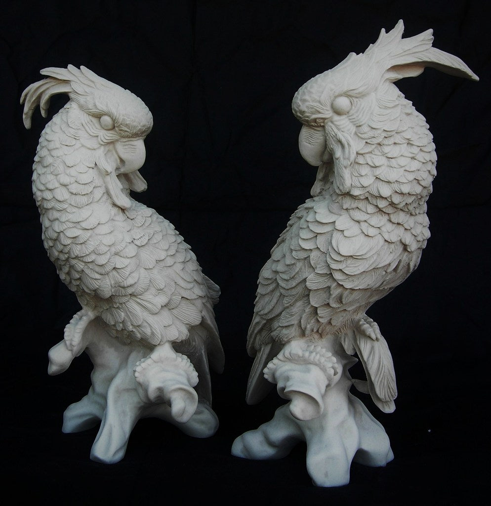 Meissen Parrots