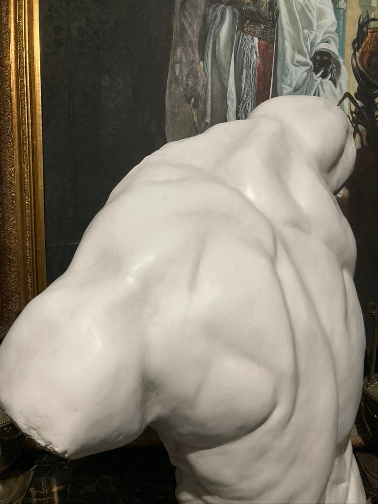 Life Size Male Torso