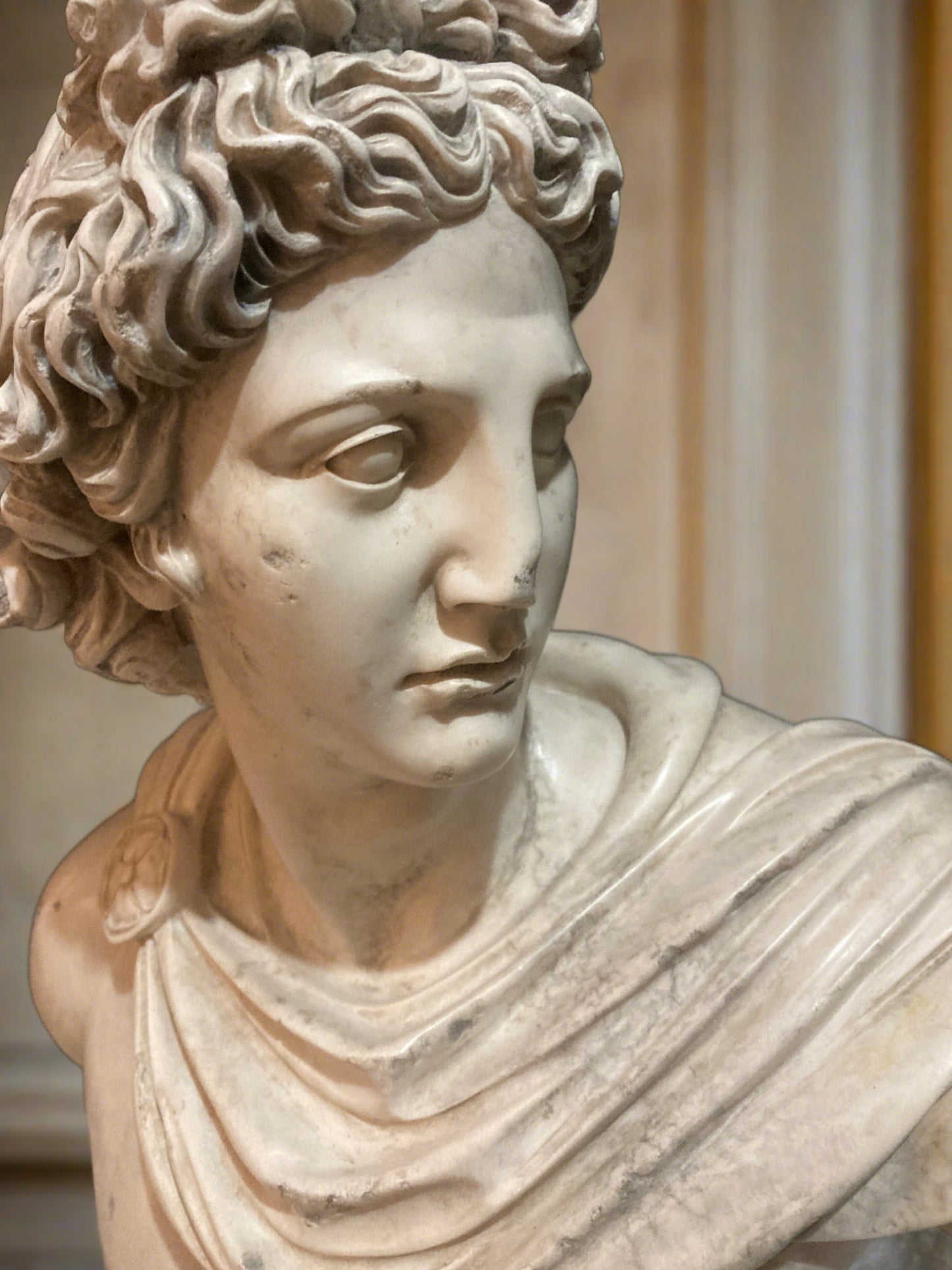 Apollo Belvedere Bust Lrg Antiquity Finish