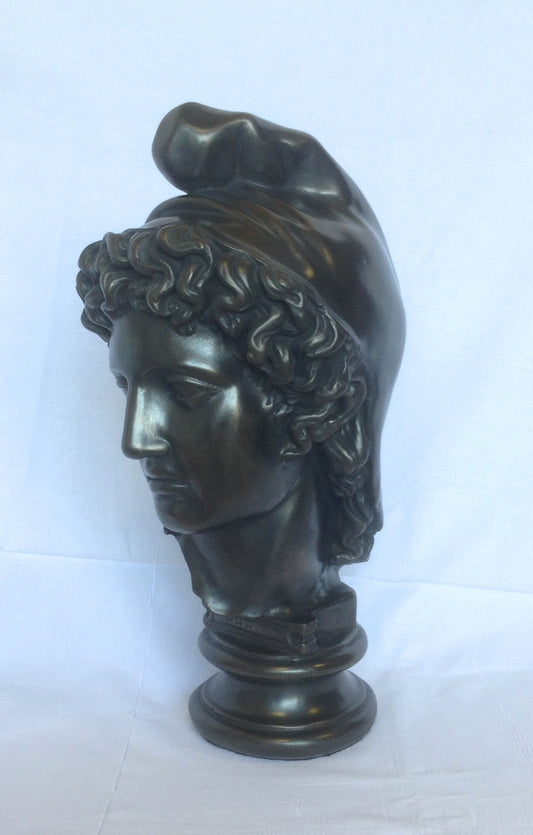A bronze statue of a head, presumably representing the figure of Paris from Roman sculpture, with a dark brown patina.
