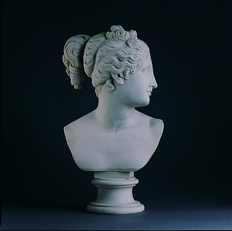 Venus Large