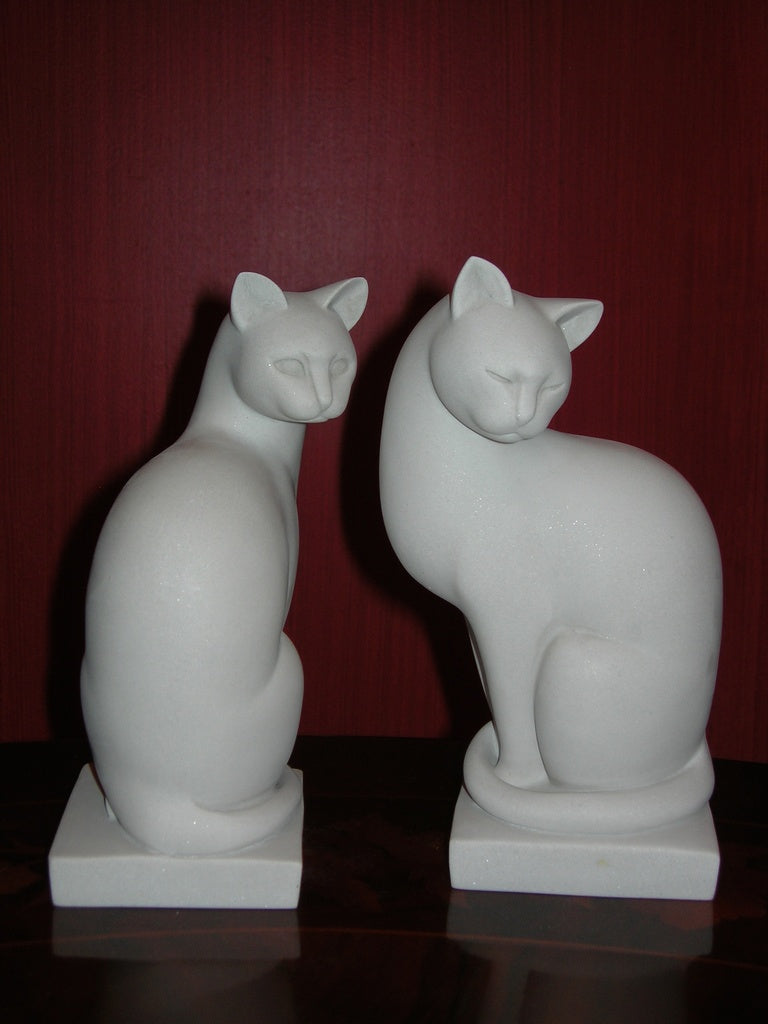 Cats pair