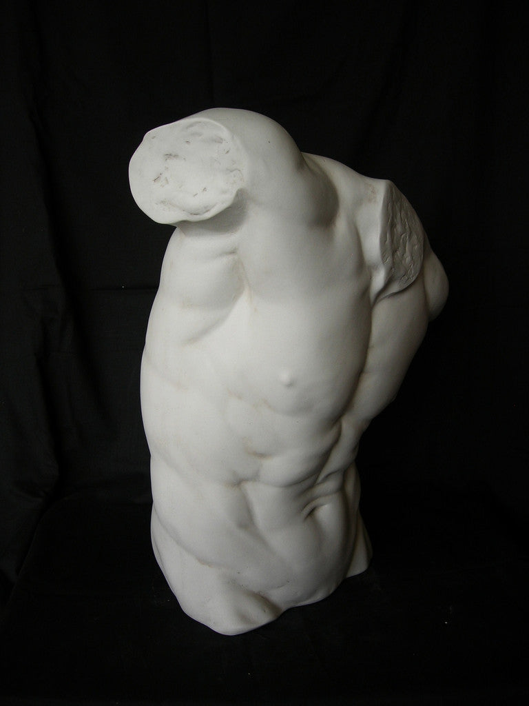 Male Torso Lrg