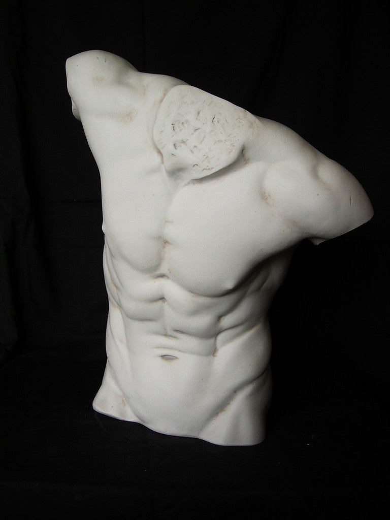 Male Torso Lrg