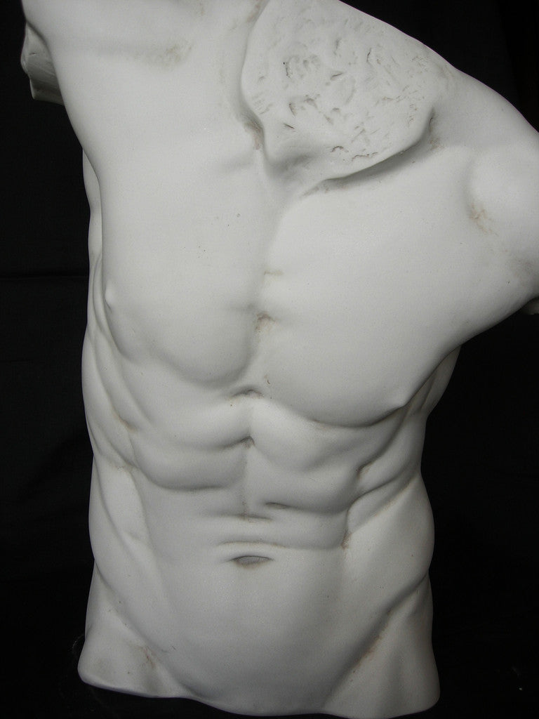 Male Torso Lrg