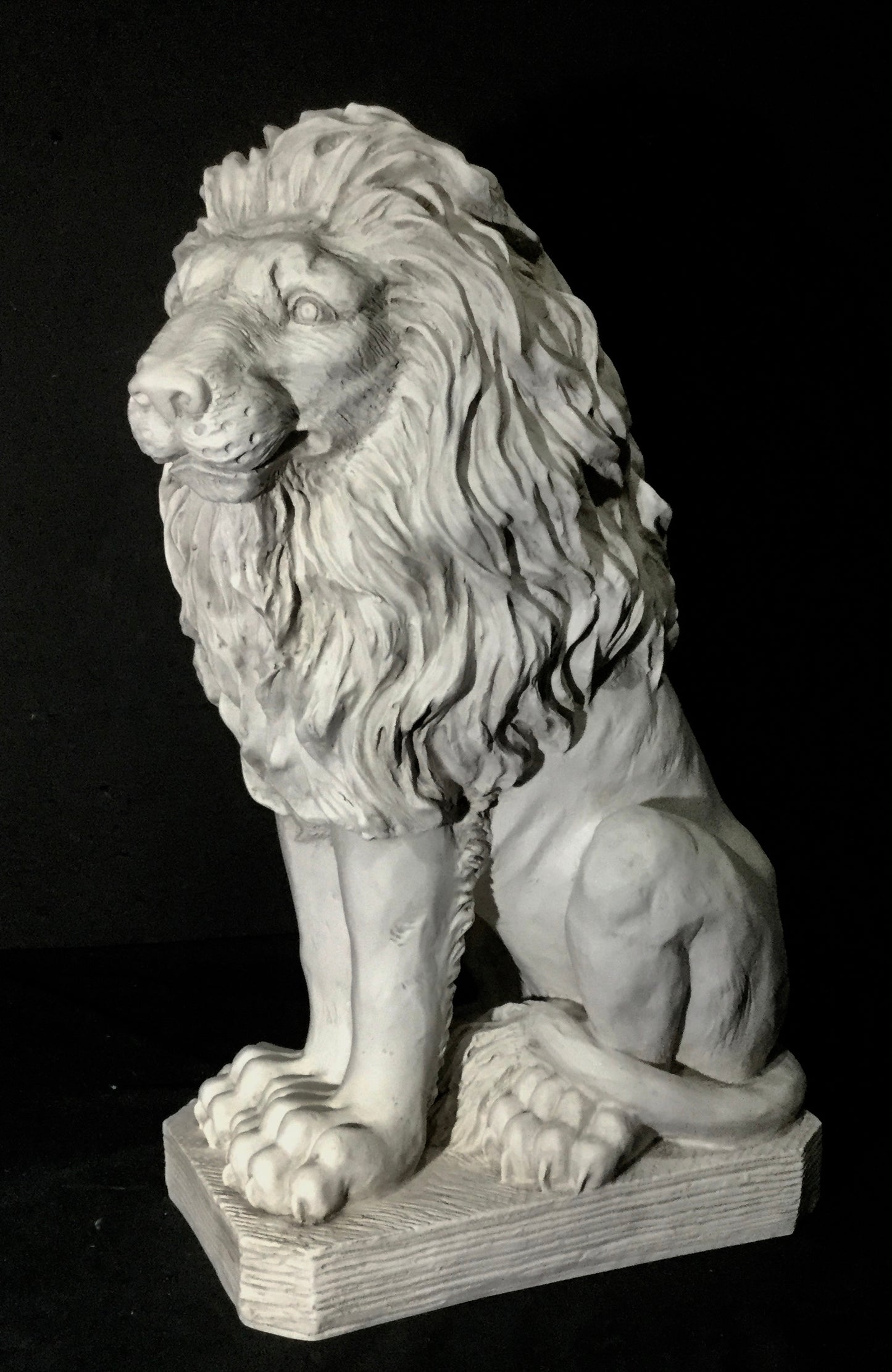 Lion Male