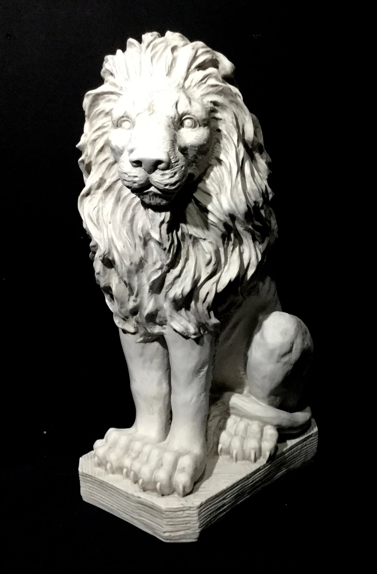 Lion Male