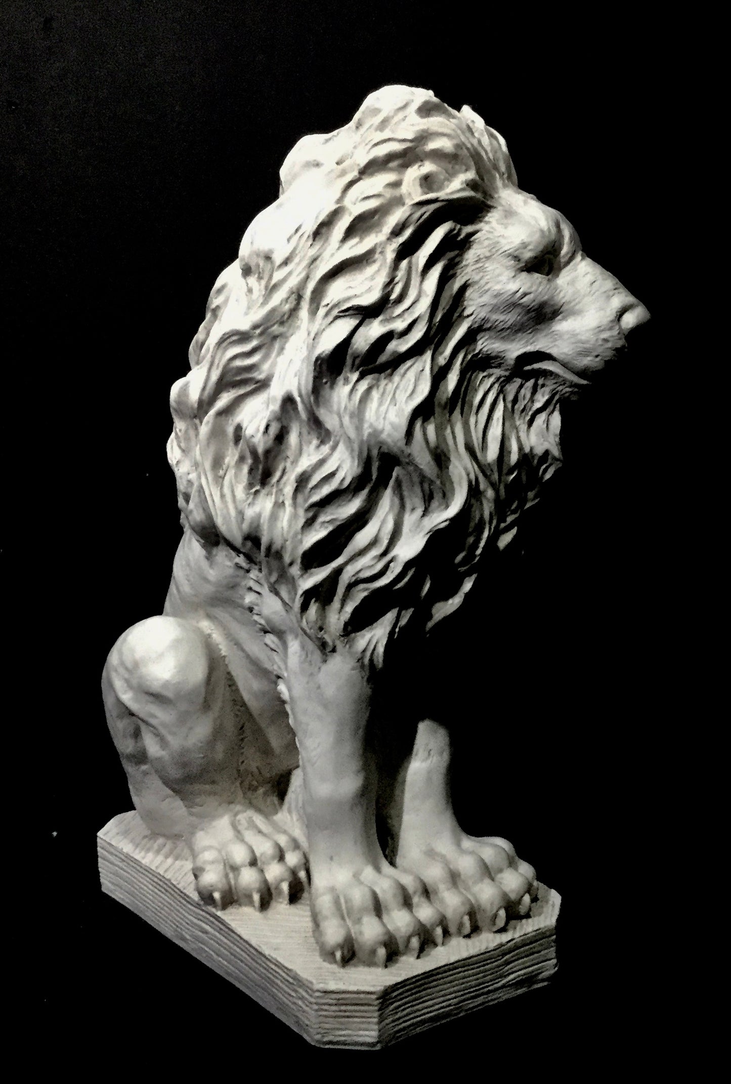 Lion Male