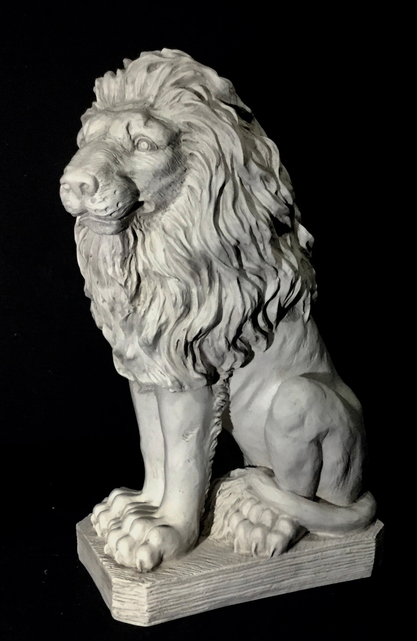 Lion Male