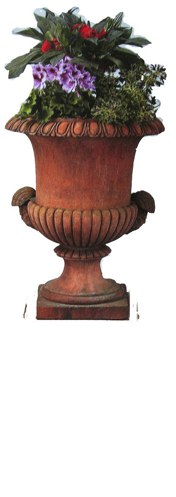 The Georgian urn
