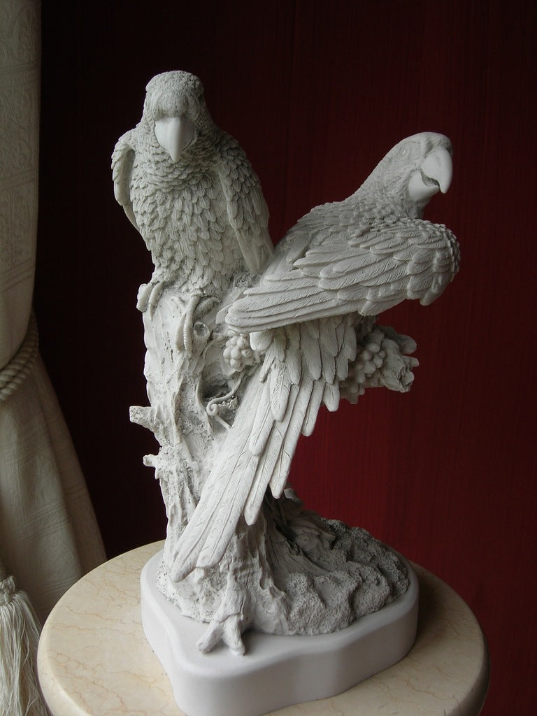 Pair of Parrots
