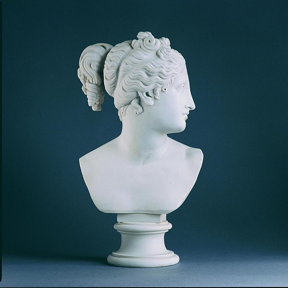 Venus Large