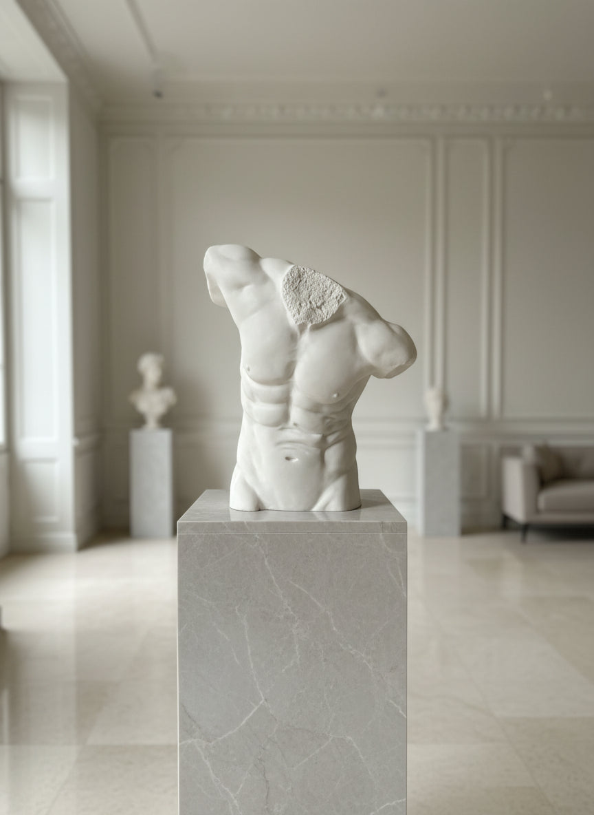 Life Size Male Torso