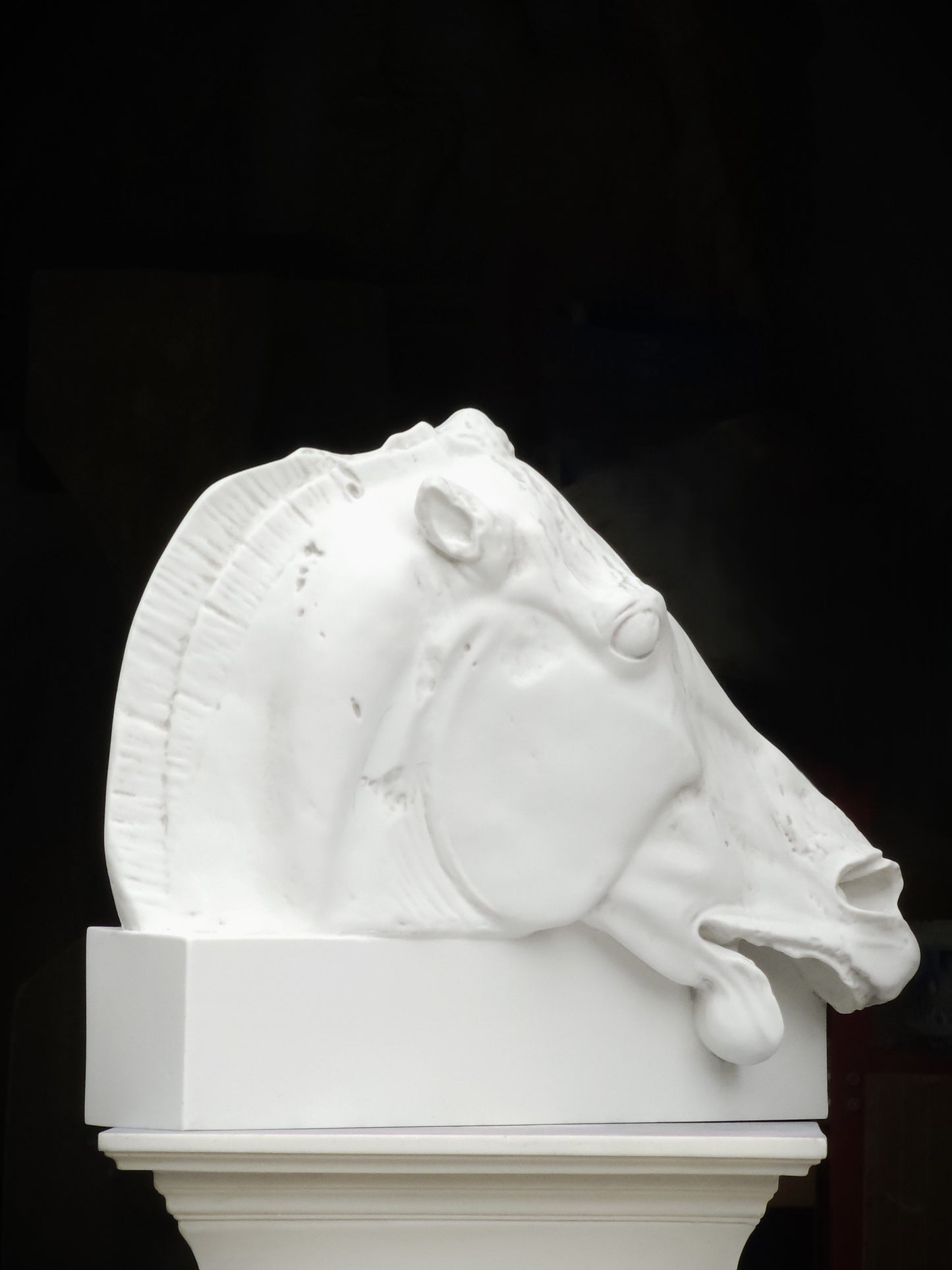 selene horse head large