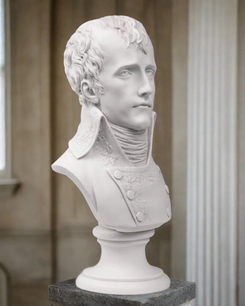 Napoleon as first consul