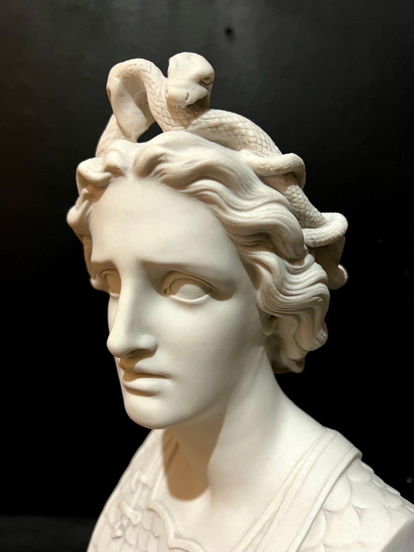 Medusa bust