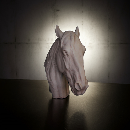 Portrait de cheval pur-sang