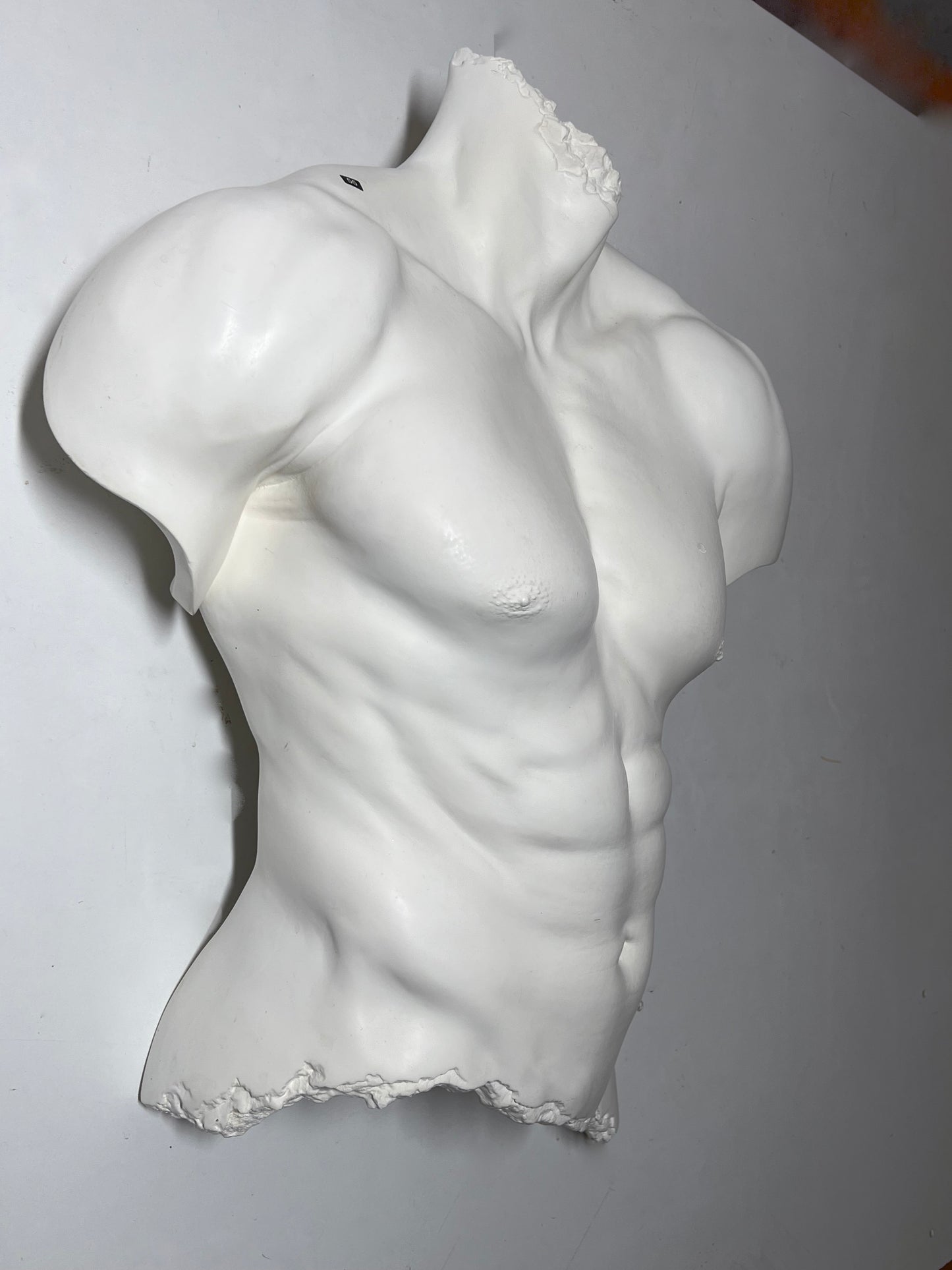 Roberto Life size Male Torso By Ken Clarke