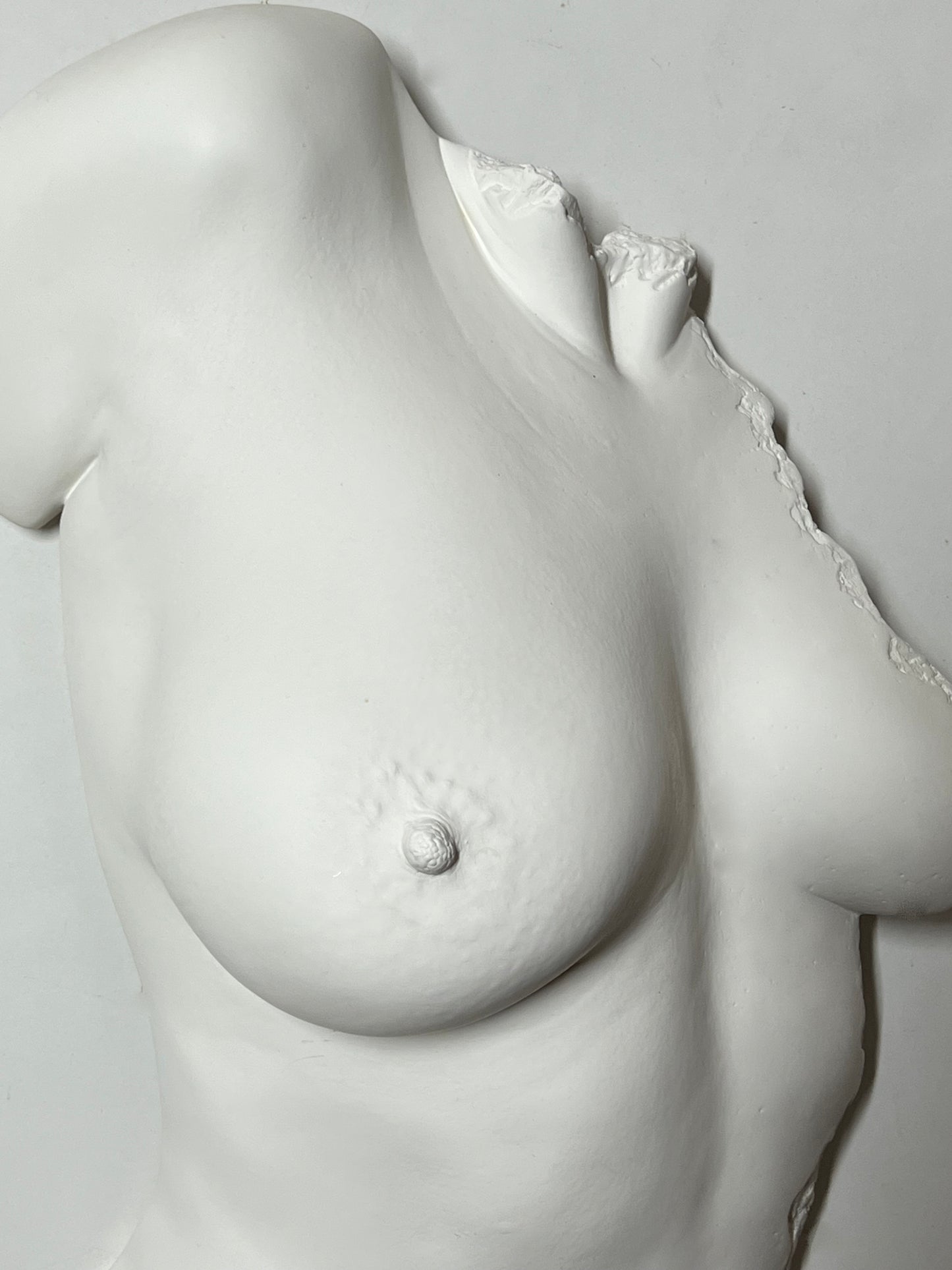 'Aurora' Life-Size Female Torso Wall Sculpture by Ken Clarke