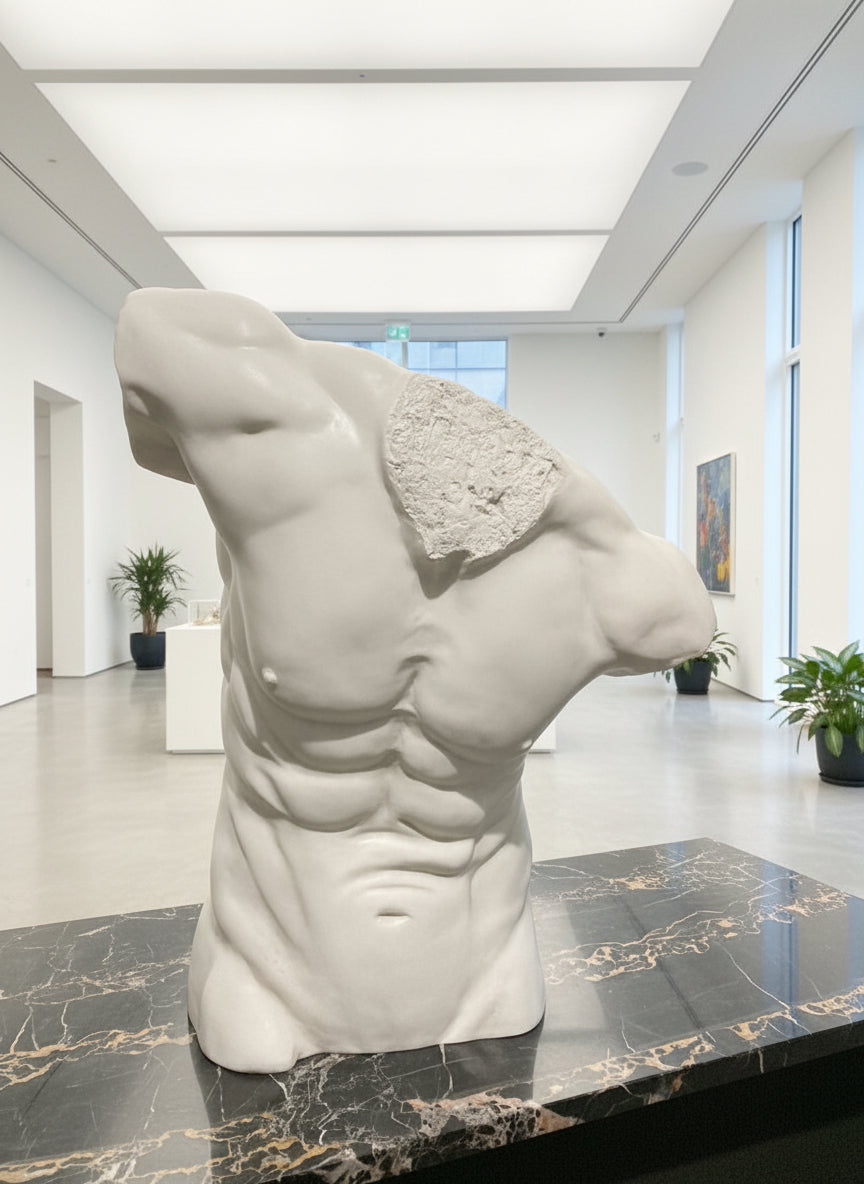 Life Size Male Torso