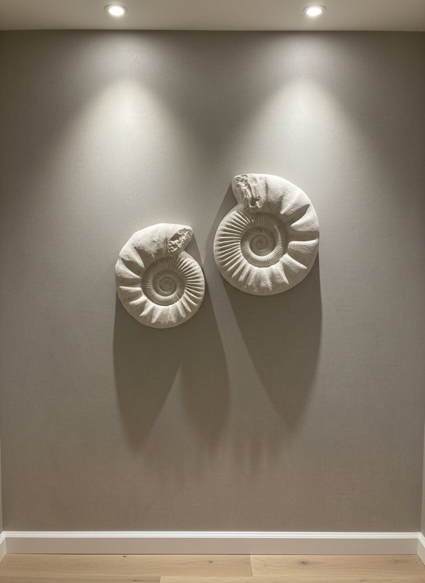 The Ammonites Pair