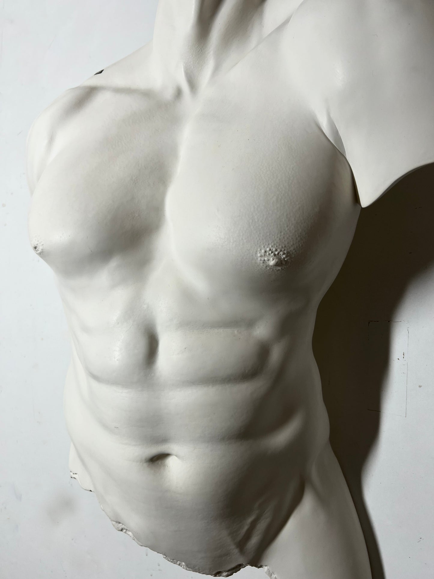 Roberto Life size Male Torso By Ken Clarke