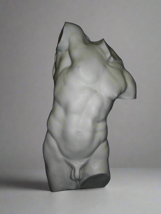 Study of a male torso