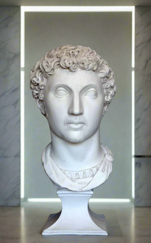 A white marble bust of Marcus Aurelius, the Roman Emperor, showing a profile view with a decorative border.