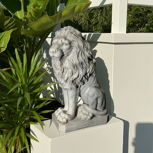 Lion mâle